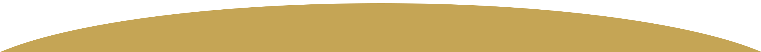 bg04